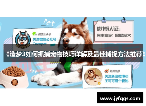 《造梦3如何抓捕宠物技巧详解及最佳捕捉方法推荐》